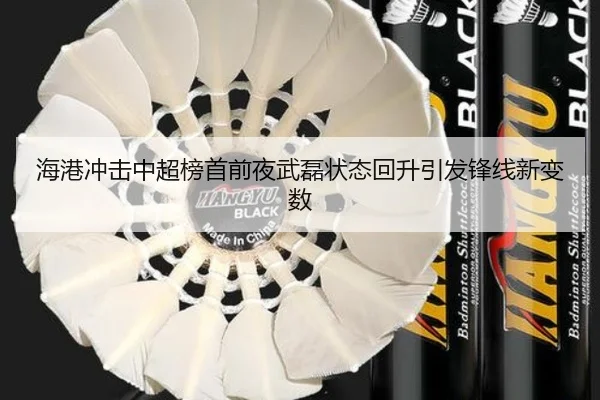 海港冲击中超榜首前夜武磊状态回升引发锋线新变数 | MilanSportsAPP