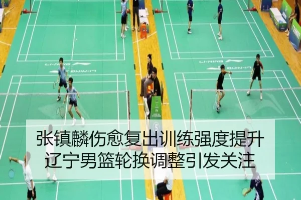 张镇麟伤愈复出训练强度提升 辽宁男篮轮换调整引发关注 | MilanSportsAPP